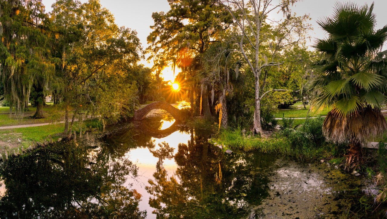 Rustic stone bridge arching over the still water in City Park in New Orleans, Louisiana at dusk with palm trees and Cypress trees